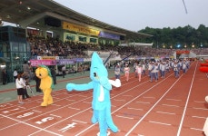 도민체전상세 | 사진기록>컨텐츠>디지털 아카이브>열린도지사실 경상북도 열린도지사실