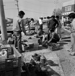 청송시가상세 | 사진기록<컨텐츠<디지털 아카이브