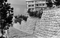 대구 도시개발(수성주택단지)상세 | 사진기록<컨텐츠<디지털 아카이브