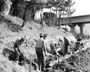 농로확장상세 | 사진기록<컨텐츠<디지털 아카이브