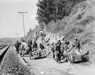 농로확장상세 | 사진기록<컨텐츠<디지털 아카이브