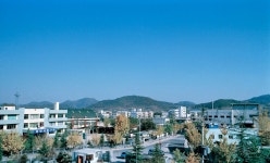 상세 | 사진기록>컨텐츠>디지털 아카이브>경상북도 경북도청, 경상북도, 경북, 도청, Gyeongsangbuk-do