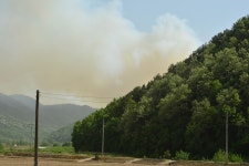 5.6 상주 사벌면 산불현장방문상세 | 사진기록<컨텐츠<디지털 아카이브