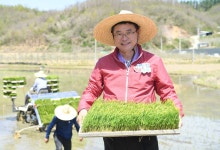 5.3 봉화 벼농사 우수경영체 모내기상세 | 사진기록>컨텐츠>디지털 아카이브>열린도지사실 경상북도 열린도지사실