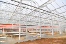 사진기록>컨텐츠>디지털 아카이브>경상북도 경북도청, 경상북도, 경북, 도청, Gyeongsangbuk-do