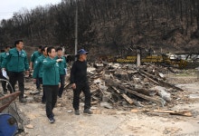 4.12 산불 관련 현장(안동 남선면 신흥리)상세 | 사진기록