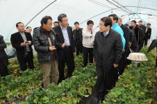 사진기록<컨텐츠<디지털 아카이브