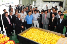 대가야유통(성주도서관) | 20110614 고령_성주_상주 방문상세 | 사진기록<컨텐츠<디지털 아카이브