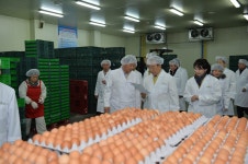 20140206 영천AI방역현장방문상세 | 사진기록<컨텐츠<디지털 아카이브