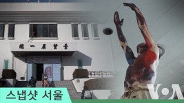 DMZ 예술제, 평화 염원 담아
