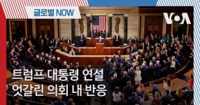 [글로벌 나우] 트럼프 대통령 연설…엇갈린 의회 내 반응