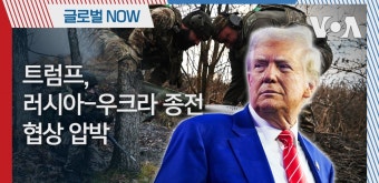 [글로벌 나우] 트럼프, 러시아-우크라 종전 협상 압박