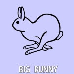 Rousing House, Big Bunny New Releases: Firmly on Beatport Firmly
