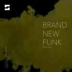 Davani - Brand New Funk (Extended Mix) [NoFace Records] | Music & Downloads on Beatport