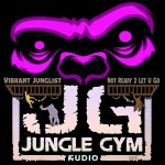 Vibrant Junglist - Not Ready 2 Let U Go [Jungle Gym Audio] | Music & Downloads on Beatport