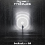 Sigvard - Prototype [Nebulon] | Music & Downloads on Beatport