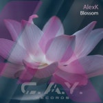 AlexK - Blossom [C.A.Y. Records] | Music & Downloads on Beatport