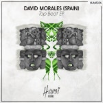 Rock To The Male (Original Mix) by David Morales (Spain) on Beatport