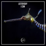Leetovskiy - I Can [LunaMoon] | Music & Downloads on Beatport