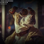 Banyon - Papa Splash [Angry Dog Records] | Music & Downloads on Beatport