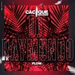 DJ Raymundo - Flow [Cacique Records] | Music & Downloads on Beatport