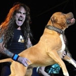 F U Dog Chart by stiflermaister on Beatport | Music Download & Streaming on Beatport