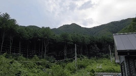 산좋고 물좋고