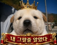 전체검색 결과 > 개집과 함께라면..즐겁다!