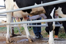 여행이야기 : 경기관광포털