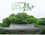   김병호고가