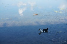   [2014 관광주간 코스 6 한 폭의 수채화 속으로 떠나는 바이크 여행] 북한강철교 편