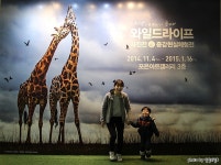   경기도 용인 가볼만한곳 – 포은아트갤러리의 와일드라이프