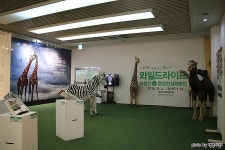   경기도 용인 가볼만한곳 – 포은아트갤러리의 와일드라이프