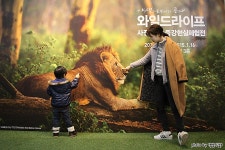   경기도 용인 가볼만한곳 – 포은아트갤러리의 와일드라이프