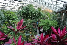   포천 가 볼만한 곳-허브아일랜드 ‘불빛동화축제’