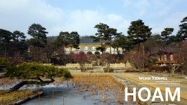   용인가볼만한곳 호암미술관