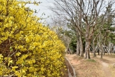 여행이야기 : 경기관광포털
