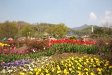   과천문화원