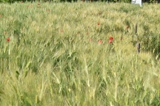 경기도소개 : 경기관광포털