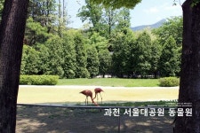   과천가볼만한곳_서울대공원