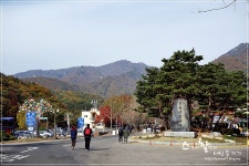  [2015가을관광주간] 용문산에서 만나는 천년의 가을