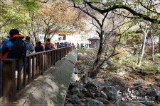   [2015가을관광주간] 용문산에서 만나는 천년의 가을