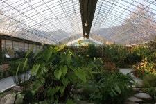   [2015 가을관광주간] 평강식물원 – 늦가을이면 어때? 지금도 좋은데^^