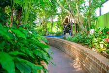   안산 식물원 봄마중하다.