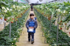 경기도소개 : 경기관광포털