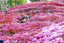 경기도소개 : 경기관광포털