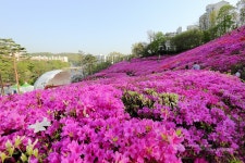 여행이야기 : 경기관광포털