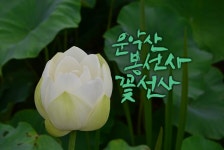   경기도 남양주 추천여행 – 마음속의 경기도 126. 봉선사