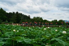   경기도 남양주 추천여행 – 마음속의 경기도 126. 봉선사