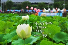   경기도 남양주 추천여행 – 마음속의 경기도 126. 봉선사